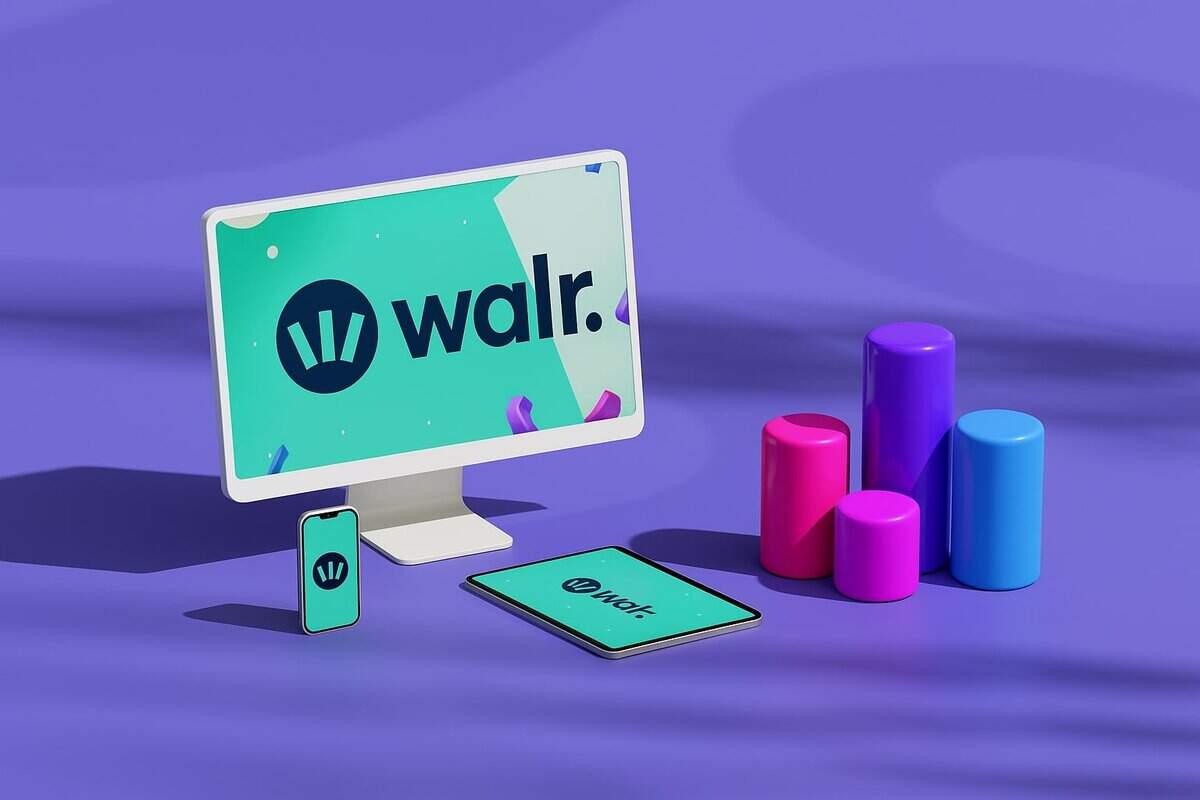 Walr Ltd. – IT Staffing of Senior Software Developers from Turkey
