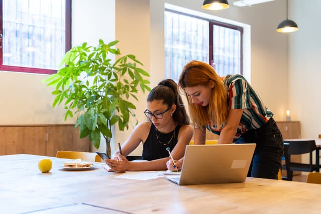 Women working in the office