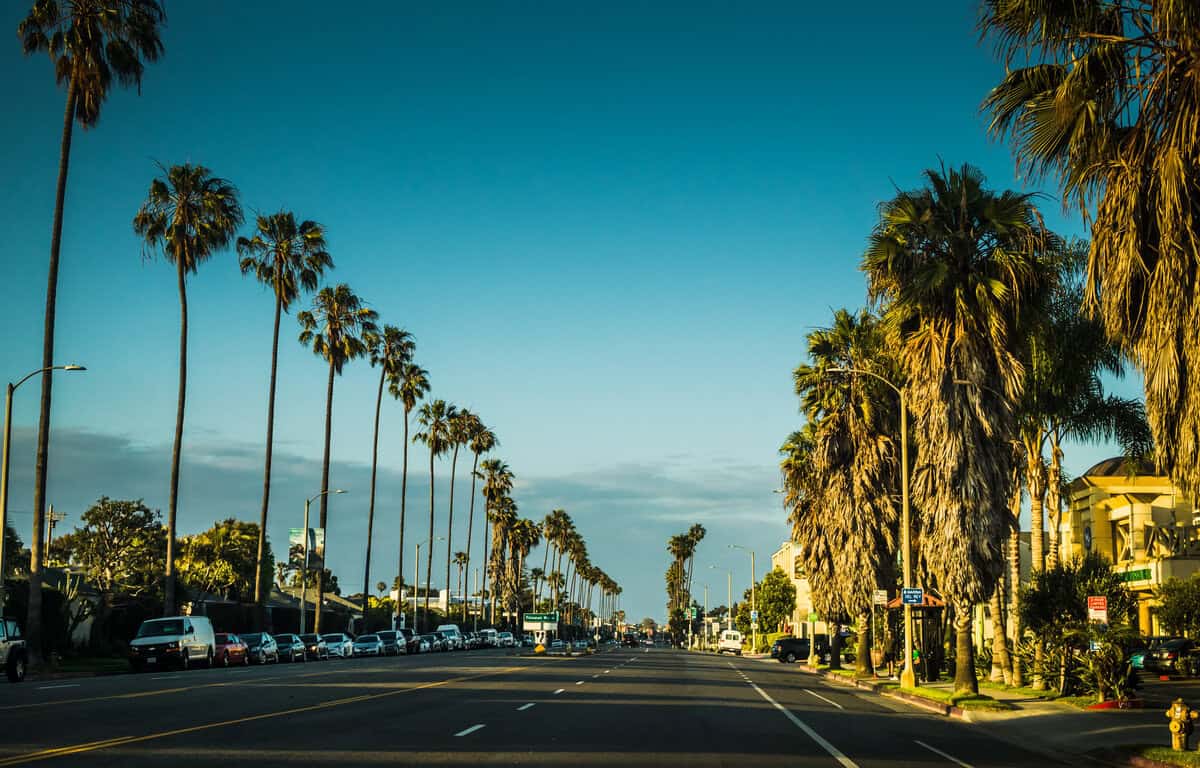 Los Angeles city view