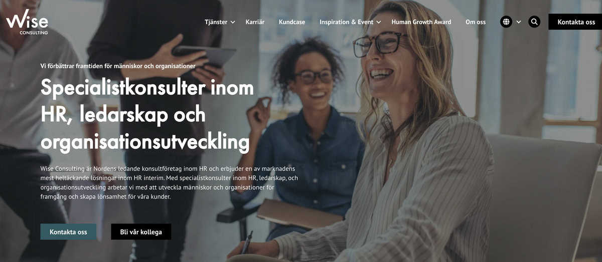 Wise Consulting website screenshot