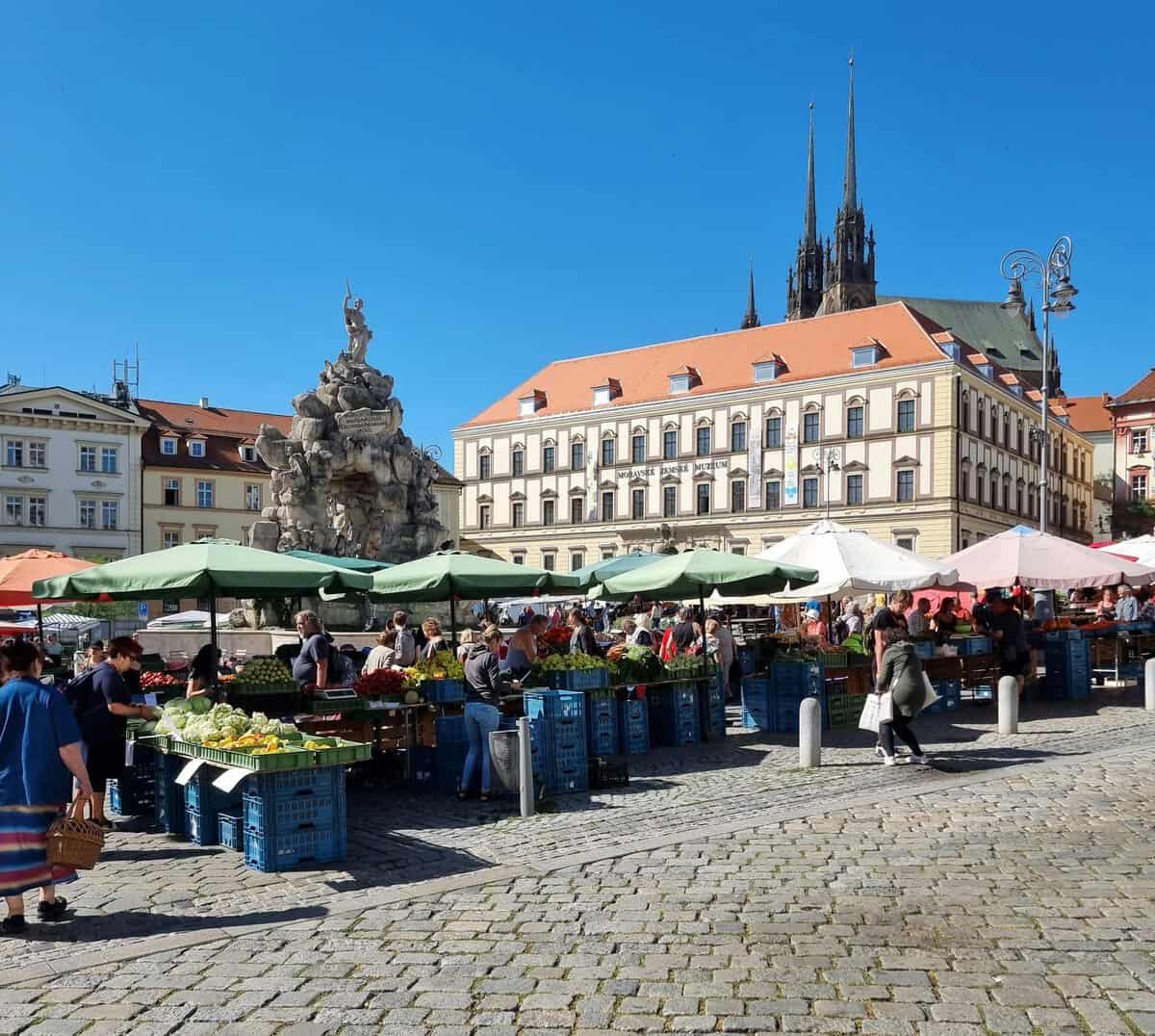 Top5ITBrno_MainImage