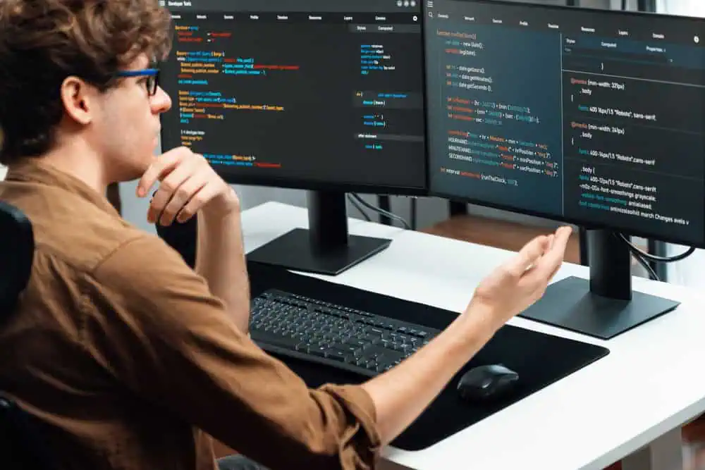 Senior Interactive Developer NB Job Description Template