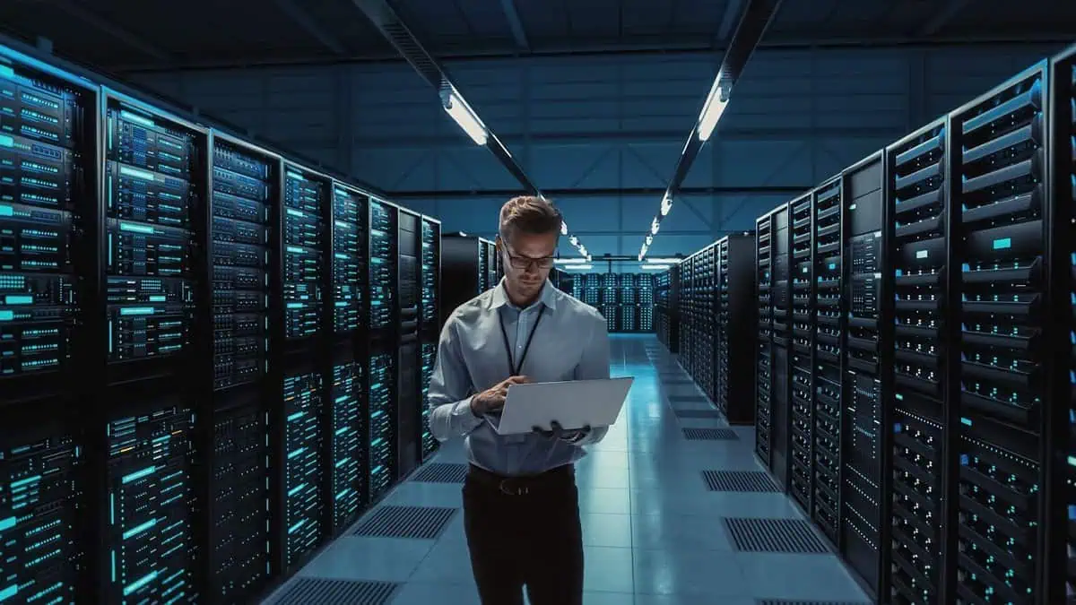 IT Specialist
