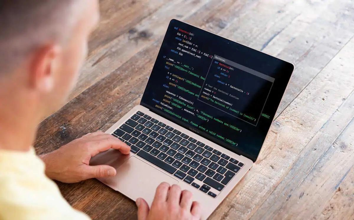 Junior Python Developer Job Description Template
