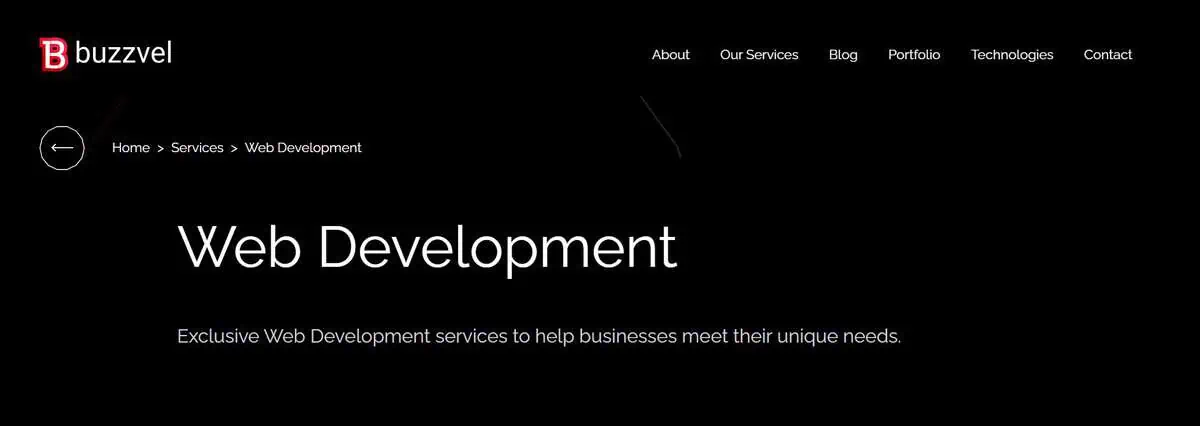 Buzzvel webpage