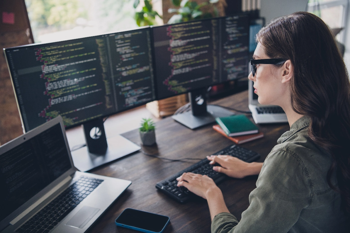 Offshore Web Development image