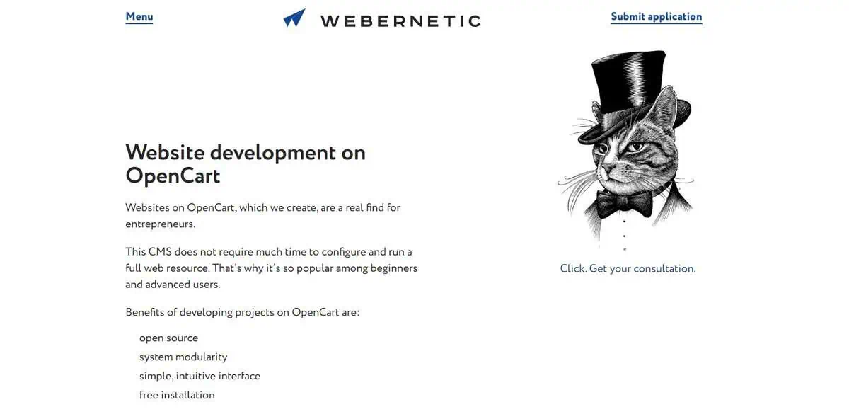Webernetic website