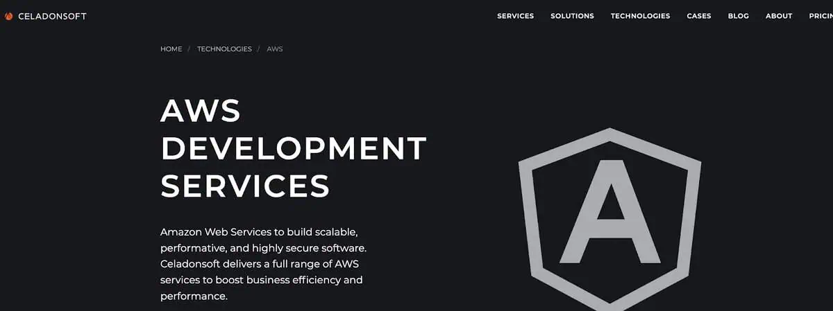 Celadonsoft Webpage