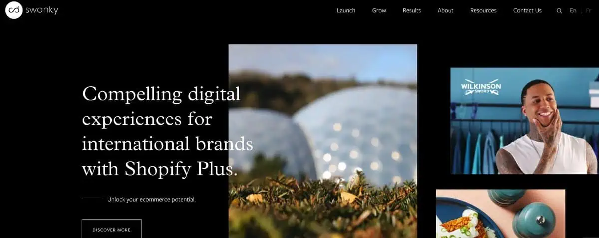 Swanky webpage