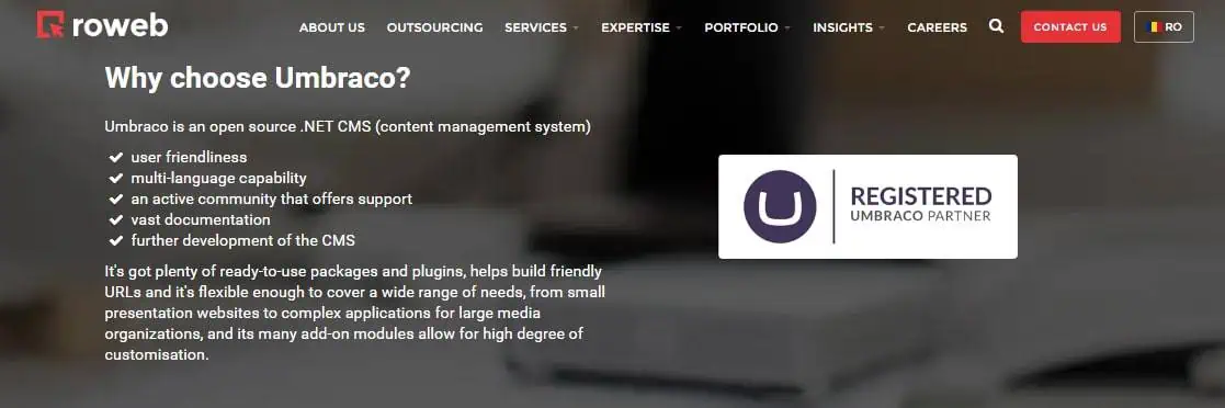 Roweb Development webpage