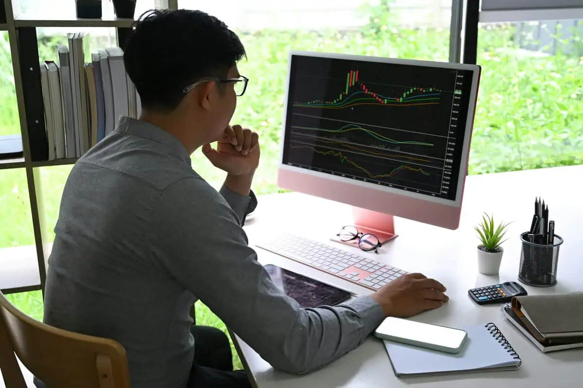 Person Analyzing Stock Market