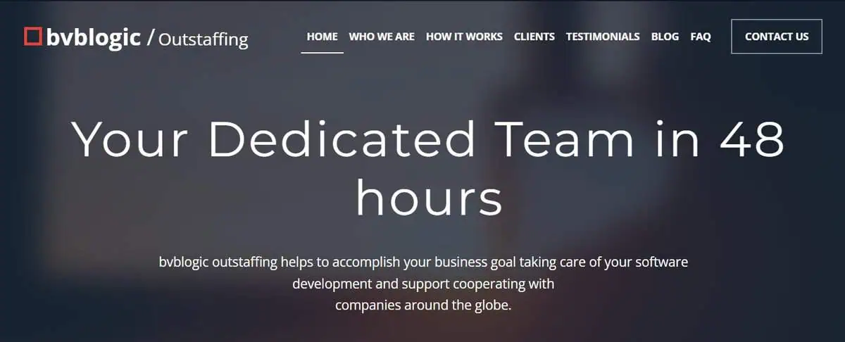 BVBlogic website