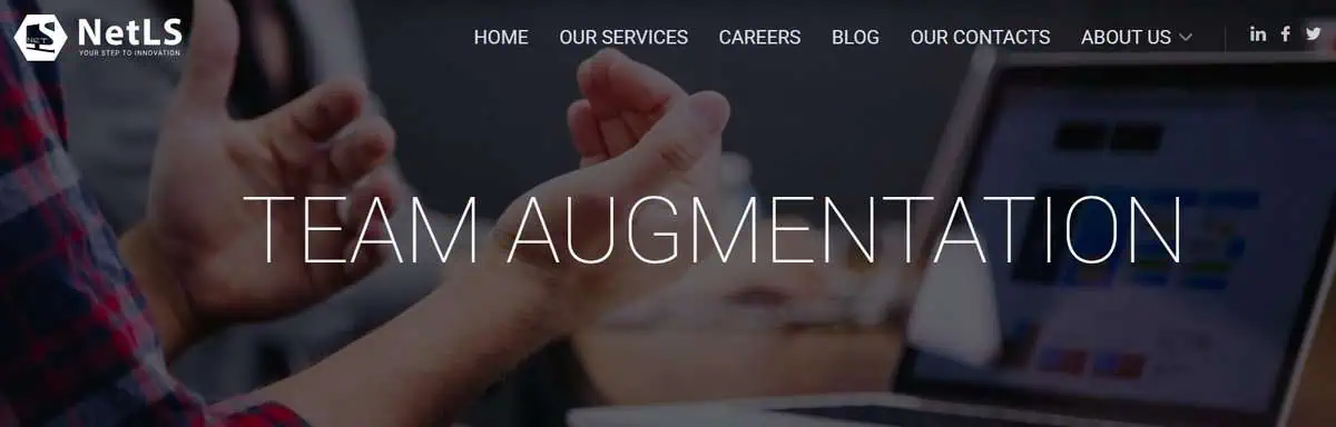 NetLS website