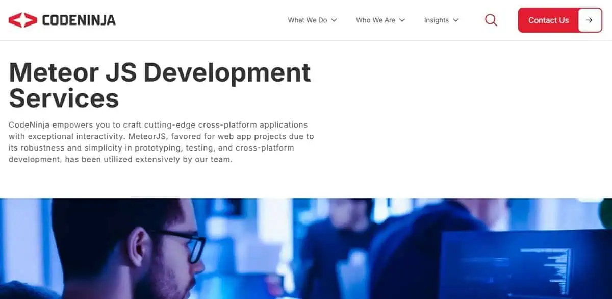  CodeNinja Consulting website