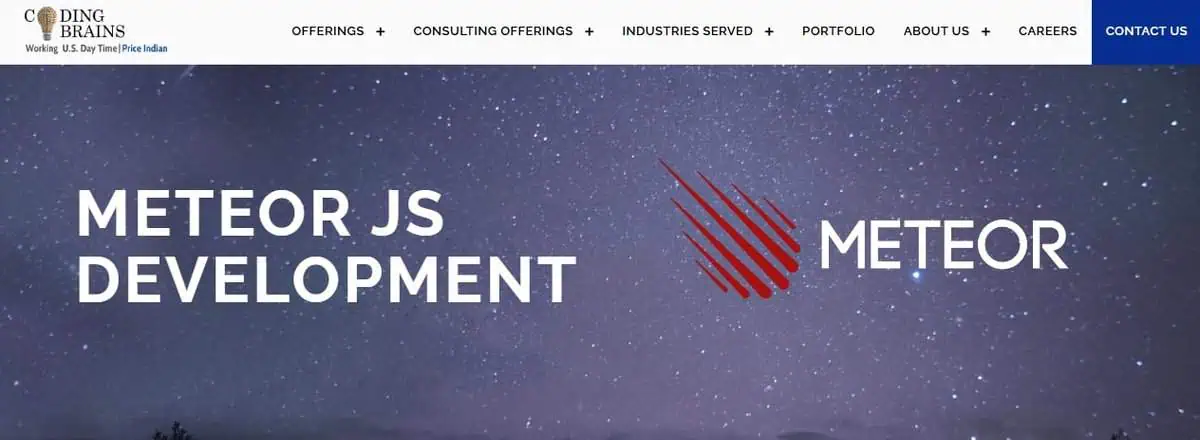 Coding Brains website