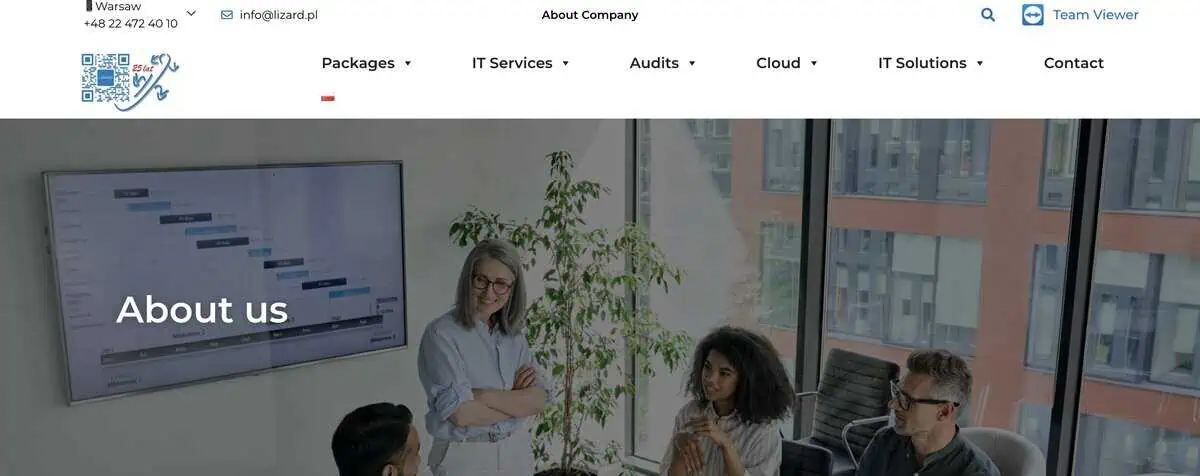 Screenshot of Lizard IT Company Lizard homepage for outsourcing.