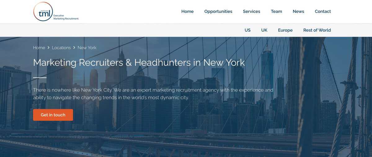 TML Partners website screen testimonial