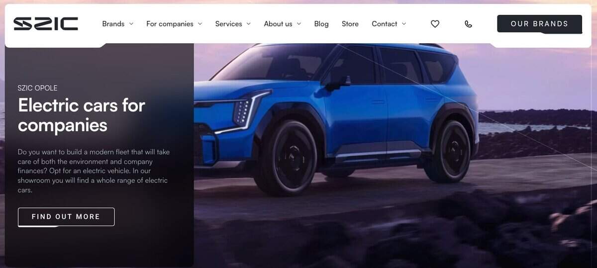 SZIC-web image testimonial