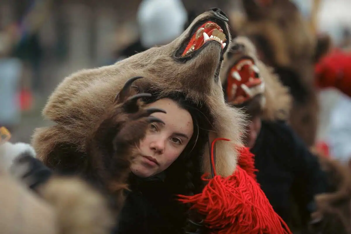 Dancing Bear Festival Romania image