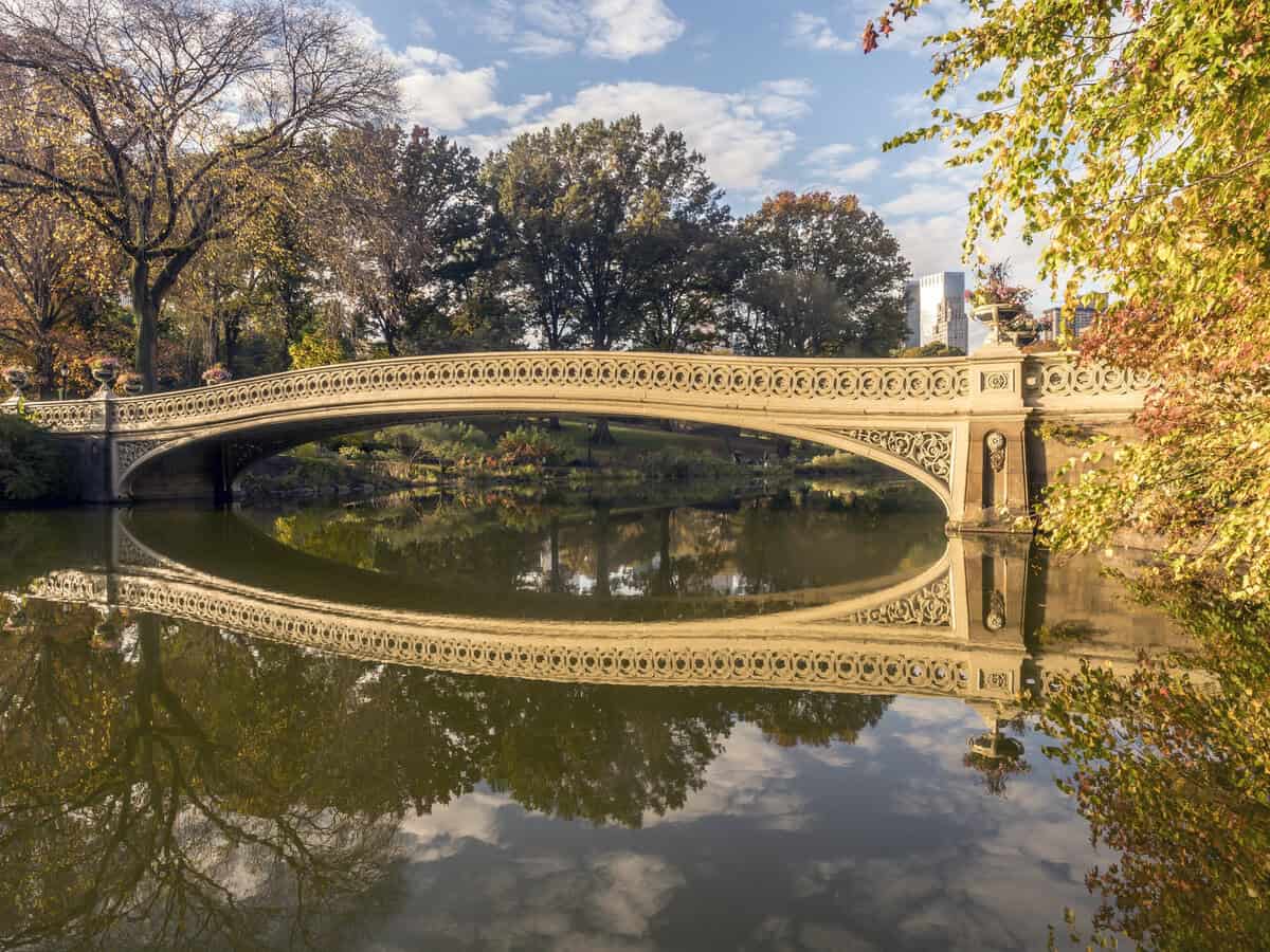 Bow Bridge in Central Park testimonial