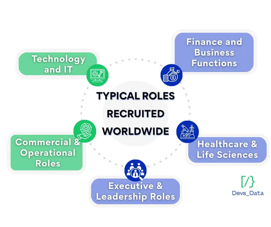 Infographic showing Typical Roles Recruited Worldwide: Technology, Finance, Commercial, Executive, and Healthcare.