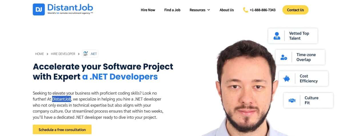 DistantJob website screenshot showing remote .NET developer experts. testimonial