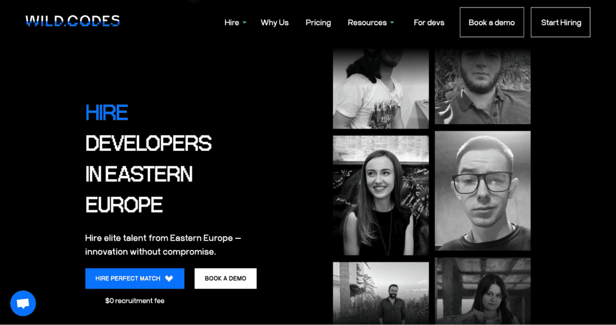 Wild.Codes website