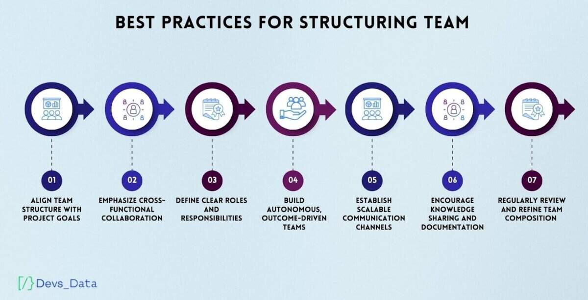 Software Development Team Structure image testimonial
