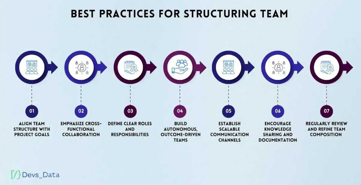 Software Development Team Structure image