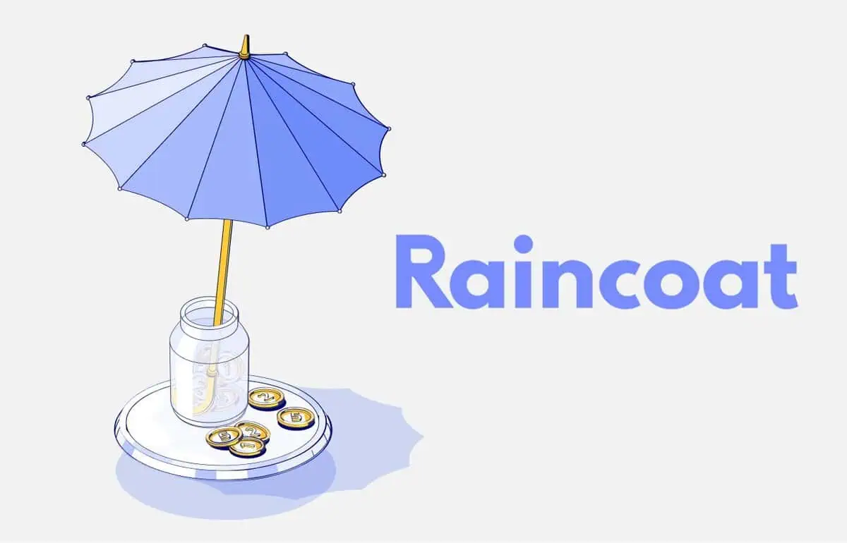 Raincoat Visual Representation.